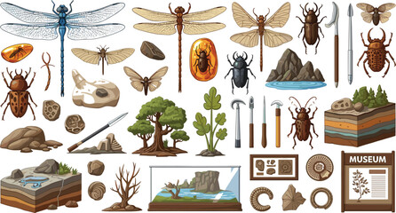  Prehistoric insect fossils and paleontology excavation elements set featuring ancient dragonflies beetles amber and museum displays for educational science textbooks © AntarChandra