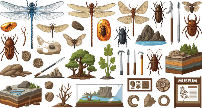  Prehistoric insect fossils and paleontology excavation elements set featuring ancient dragonflies beetles amber and museum displays for educational science textbooks