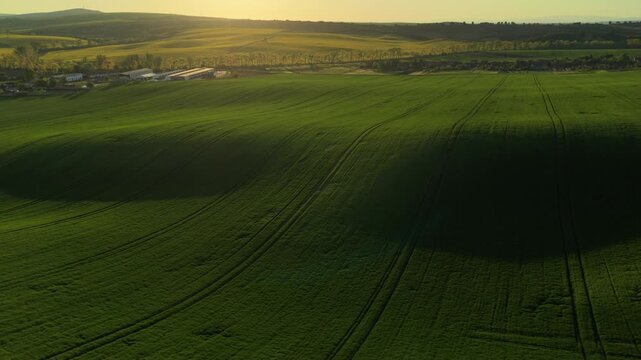 Aerial drone view of extensive green rolling farmland with farm buildings and tree rows under a warm sunset sky, Moravia, Czech Republic.