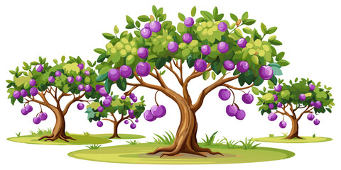 Group of plum trees with ripe purple plums and green leaves on grassy ground plum tree fruit tree plum orchard fruit bearing plum fruits tree trunk tree branches © Tushar