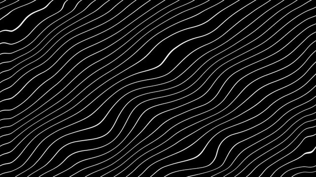 Grey abstract curved wavy lines on black background.
curvy lines pattern seamless loop copy space background animation. Abstract white wavy lines on black background animation.