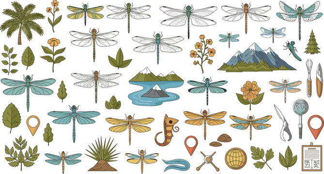 Vintage hand drawn dragonfly and botanical elements set featuring riverbed insects wild flowers and mountains for nature journaling and packaging design
