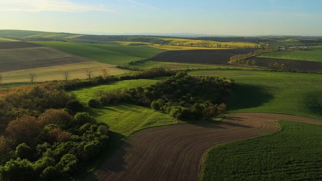 Aerial drone view of rolling Moravian farmland at golden hour, with patchwork green crop fields, plowed brown earth and scattered trees stretching to distant hills, Czech Republic.