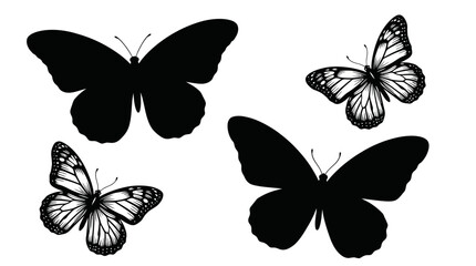 Black and white butterflies on white background. © Ira Project