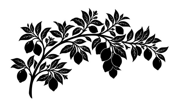 Black lemon fruit and leaf branch silhouette vector for botanical and packaging design