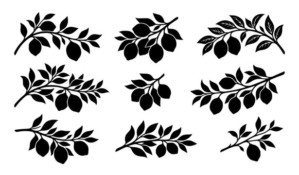 Citrus lemon branch silhouette collection with leaves and fruit vector graphics isolated on white background