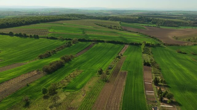 Aerial drone view of wide patchwork farmland with green crop strips, plowed fields and vineyard rows under a clear sky, with distant tree lines and hills, Moravia, Czech Republic.
