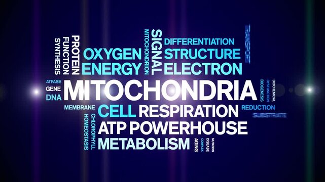 Mitochondria animated word cloud-gross domestic product animation tag kinetic typography seamless loop.