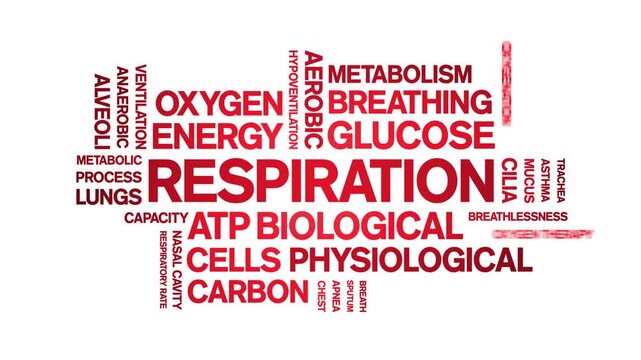Respiration animated word cloud-gross domestic product animation tag kinetic typography seamless loop.