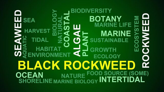 Black Rockweed Word Cloud