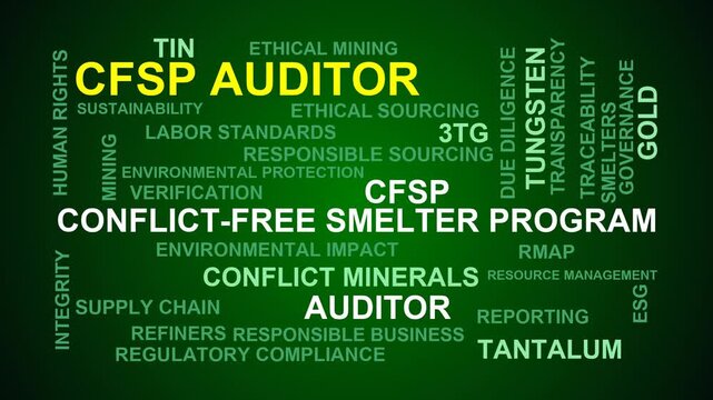 Cfsp Auditor Word Cloud