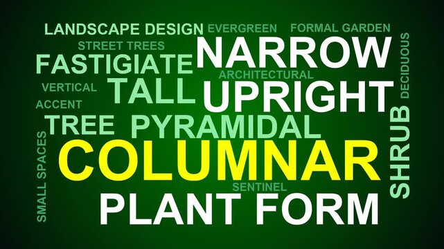 Columnar Word Cloud