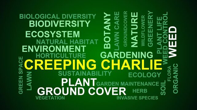 Creeping Charlie Word Cloud