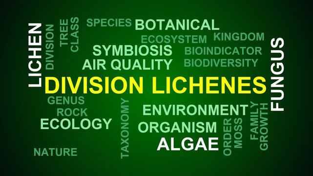 Division Lichenes Word Cloud
