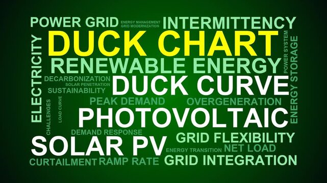 Duck Chart Word Cloud