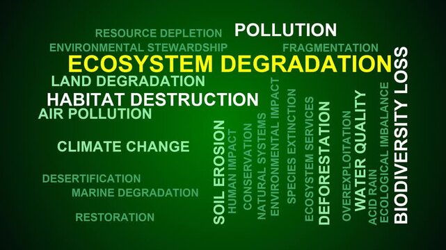 Ecosystem Degradation Word Cloud
