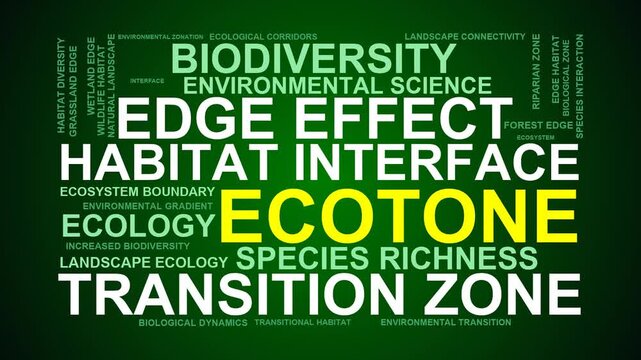 Ecotone Word Cloud