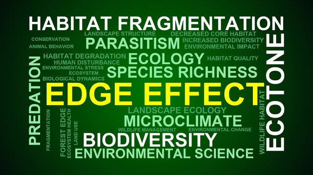 Edge Effect Word Cloud