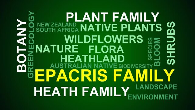 Epacris Family Word Cloud