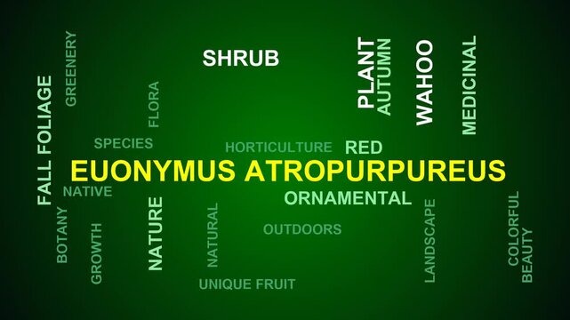 Euonymus Atropurpureus Word Cloud