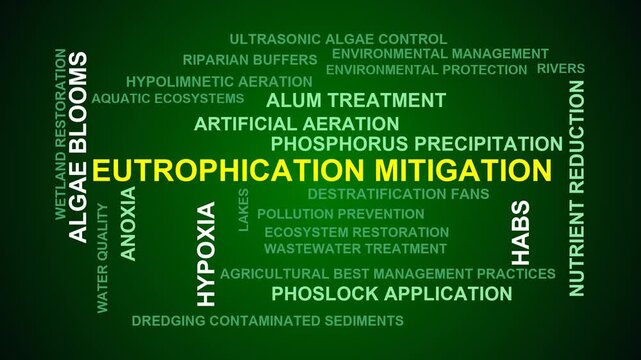 Eutrophication Mitigation Word Cloud