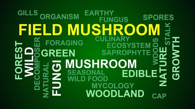 Field Mushroom Word Cloud