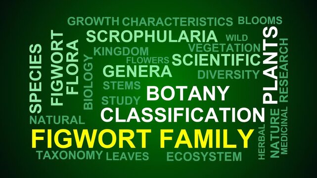 Figwort Family Word Cloud