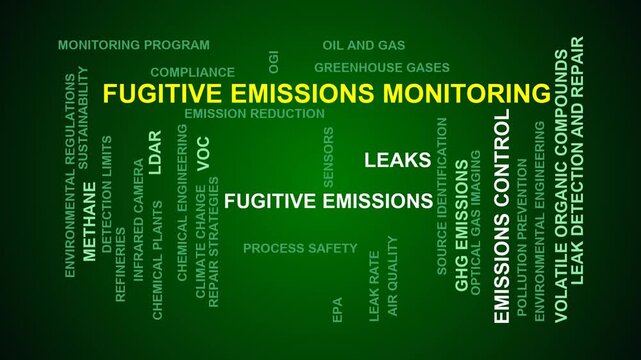 Fugitive Emissions Monitoring Word Cloud