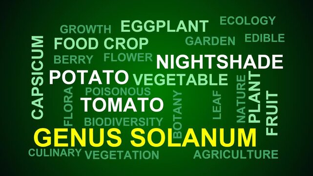 Genus Solanum Word Cloud