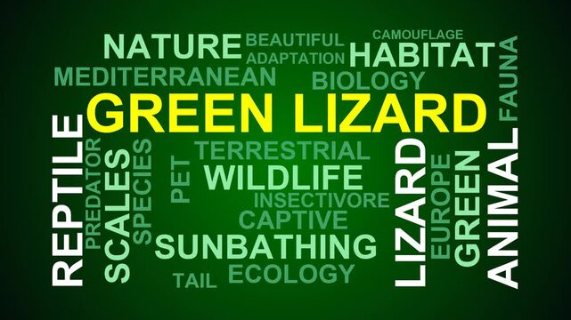 Green Lizard Word Cloud