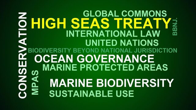 High Seas Treaty Word Cloud