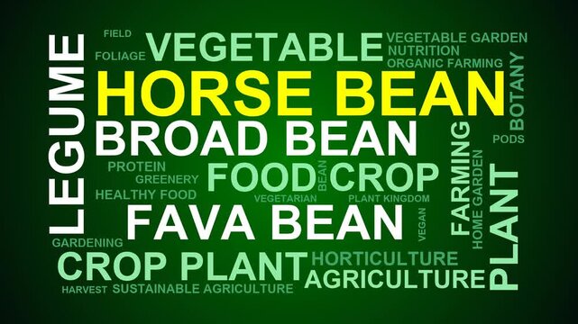 Horse Bean Word Cloud