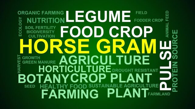 Horse Gram Word Cloud