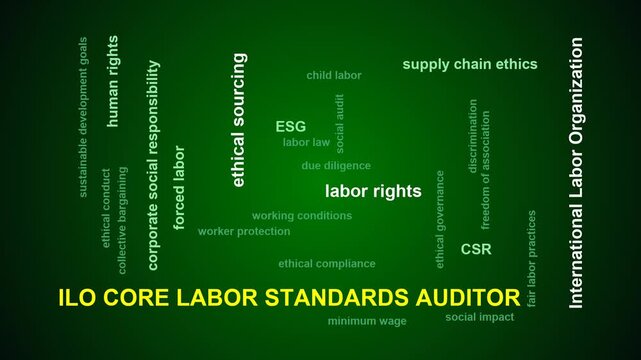 Ilo Core Labor Standards Auditor Word Cloud
