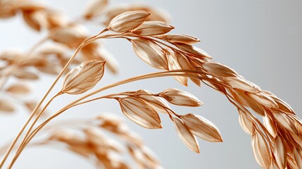 Fototapeta premium Golden wheat stalks with detailed grains, macro photography in soft light, representing agriculture and harvest