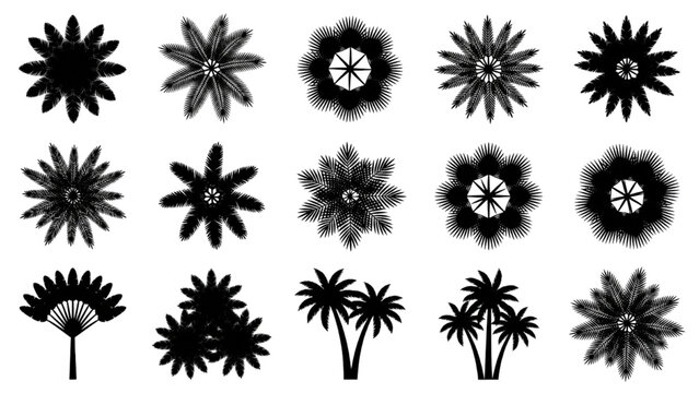 Black floral silhouettes and tropical palm tree icon collection vector set