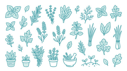 Collection of hand-drawn culinary herbs and spices in a simple, clean style. © Meila