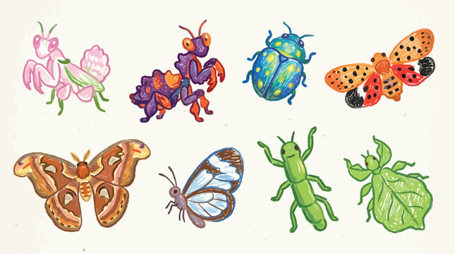 Collection of colorful and diverse insect illustrations, including praying mantises, beetles, moths, and stick insects.