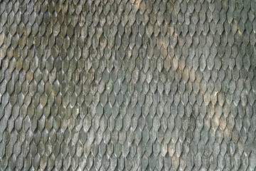 Closeup of overlapping fish scales forming a natural textured pattern with metallic tones, creating an abstract background for design and aquatic concepts.  © Nuzul