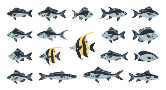 Large collection of various fish species with two distinct yellow and black striped tropical fish as focal points in the center.