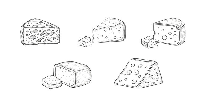 Variety of different cheese types including Swiss and blocks shown in a detailed black and white artistic hand drawn style.