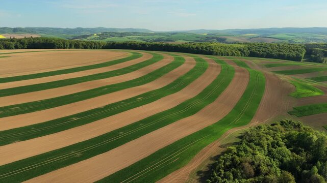 Aerial drone view of broad contour-ploughed farmland with alternating curved green and brown crop rows sweeping across rolling hills, Moravia, Czech Republic.