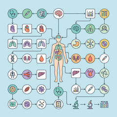 Obraz premium Diagram of human anatomy and medical research processes