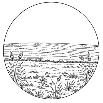 Landscape art with horizon line, grass, wheat, and an overarching semicircle frame