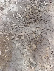 A dried-up puddle on the ground. The dry mud has cracked. © Марина Дубьяга