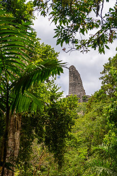 Top of Temple VI Pyramid in the middle of the Peten Jungle, Tikal, Guatemala.