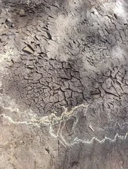 A dried-up puddle on the ground. The dry mud has cracked. © Марина Дубьяга