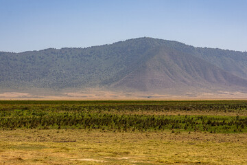 Wide landscape view of the grassy plains and steep crater walls of Ngorongoro Crater National Park Tanzania © Joao Vieira