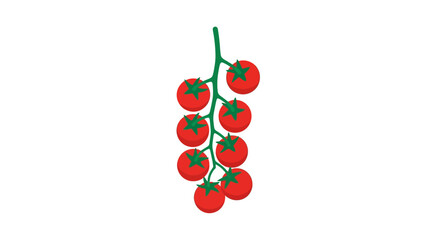 Bunch of red cherry tomatoes on green vine vector illustration © Ibnu