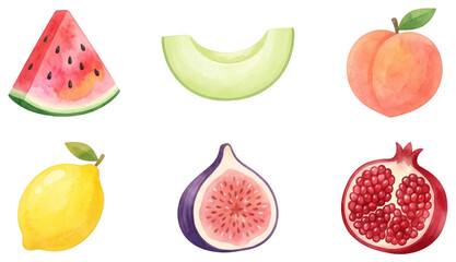 Obraz premium watercolor summer fruit set with watermelon (citrullus lanatus) melon (cucumis melo) peach (prunus persica) lemon (citrus limon) fig (ficus carica) and pomegranate (punica granatum)